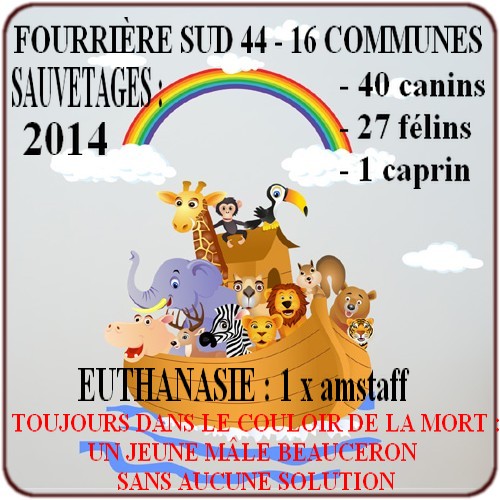 Fourrière Sud 44 - Année 2014 201410