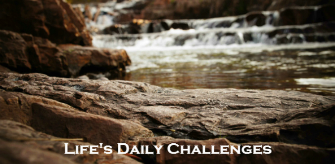 Life's Daily Challenges Forum