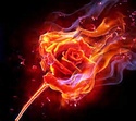  Le feu et les flammes sont cités plus d’un millier de fois dans la Bible.  _feu15