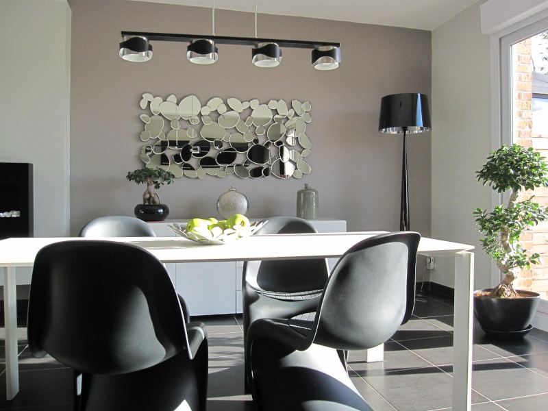 Changement de meubles salon (Ancolies) Img_3226