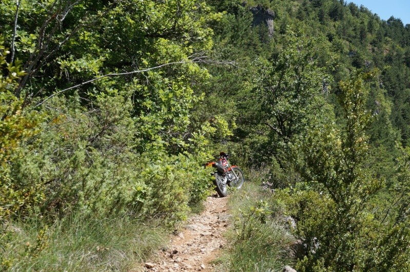 La CRF250L, la TTR 250, bref, les trails/enduro légers....quelqu'un a déjà essayé ? Et la Beta Alp 200cc....? - Page 9 Dsc01614