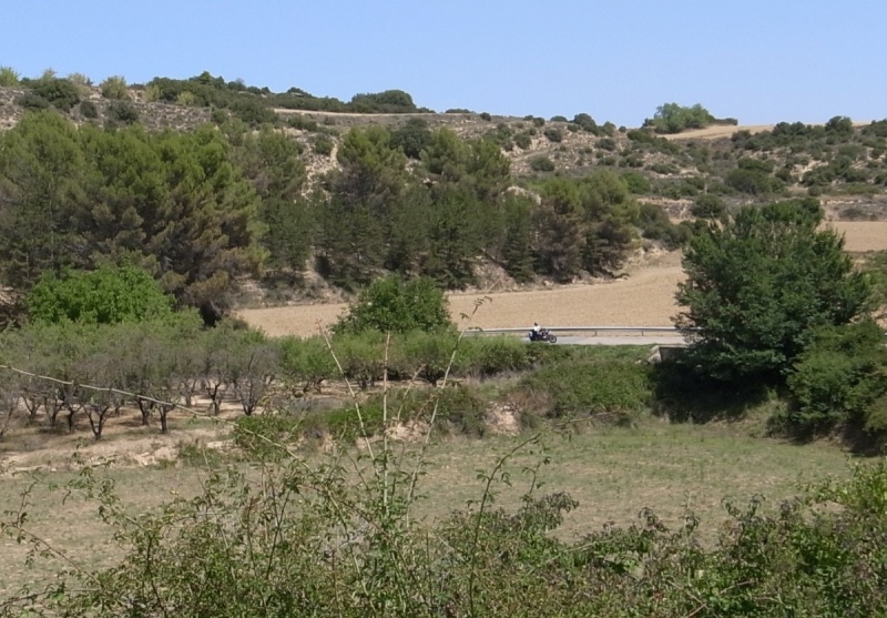 Notre virée aux Bardenas Reales.....et un peu plus loin.... Rimg2430