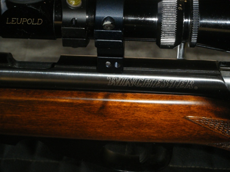 Pistolet CHIAPPA 6004 FAS Dscf1811