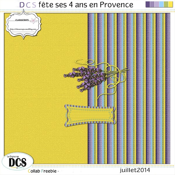 DCS fête ses 4 ans en Provence - juillet 2014 Prevb10