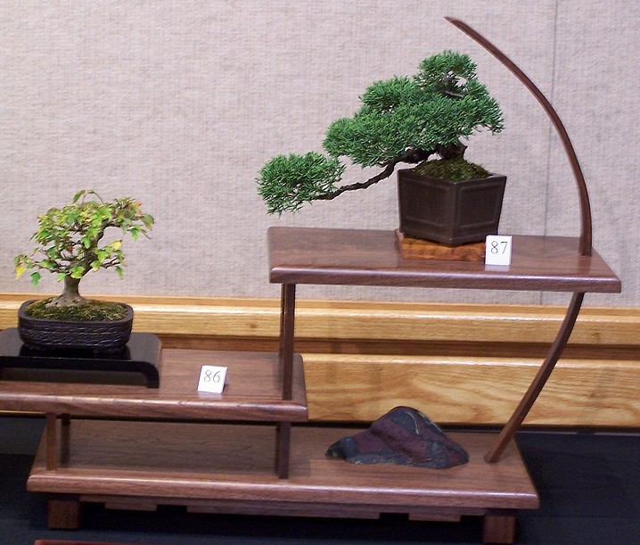 Carolina Bonsai Expo 2014 Triden11