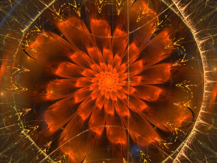fractales d'octobre - Page 6 Fleur_10