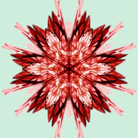 fractales de Novembre Symmet10
