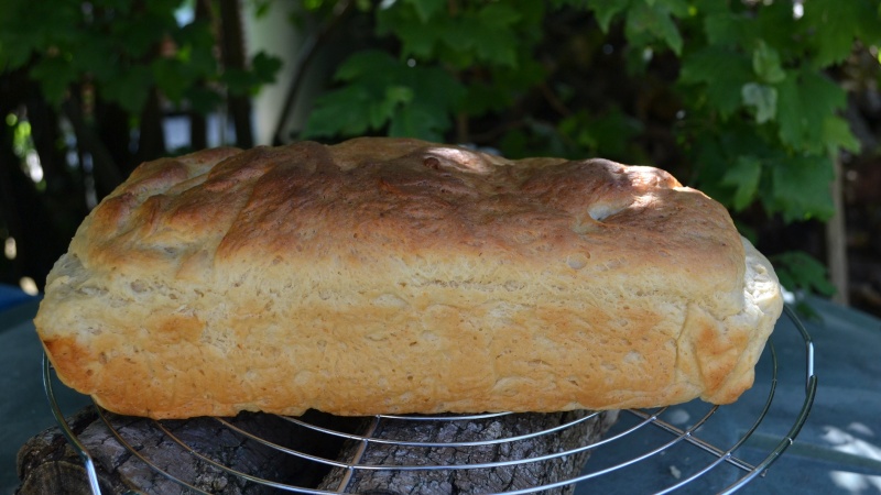 Concours de la brioche sans oeuf et sans beurre jusqu'au 22 juin inclus - Page 2 Brioch10