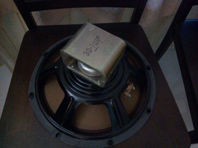 Pioneer 12 inch driver (Used)*SOLD* Pioner10
