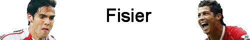 Download Fisier