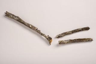 Le bras d’un pré-Néandertalien trouvé au bord de la Seine  45037811