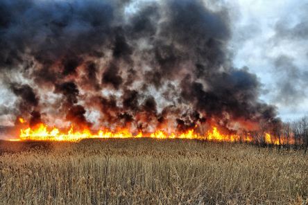 Feu de prairie dans le Nord de l'Arizona (USA) Incend14