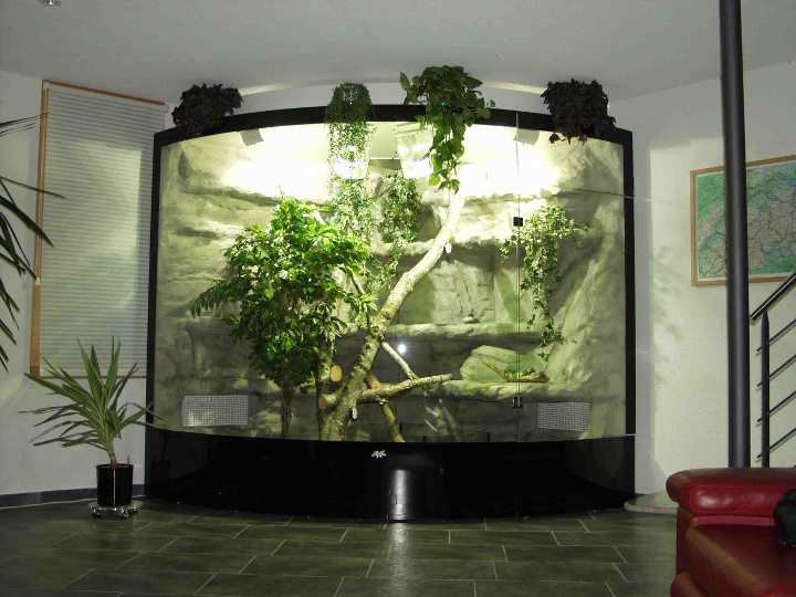 Idée terrarium - Page 2 26461010