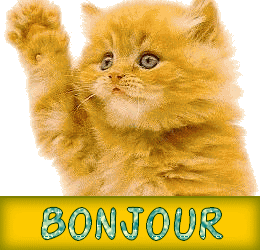 Q Tbn And9gcqzoukoo3wcqml3 Zra2fb Bvnvjfxbazjgxq Usqp Cau Q Tbn And9gcqzoukoo3wcqml3 Zra2fb Bvnvjfxbazjgxq Usqp Cau