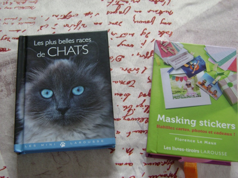 Pas de chat dans mon colis ! Swap_032