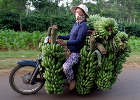 influence de la banane sur la moto Banane11