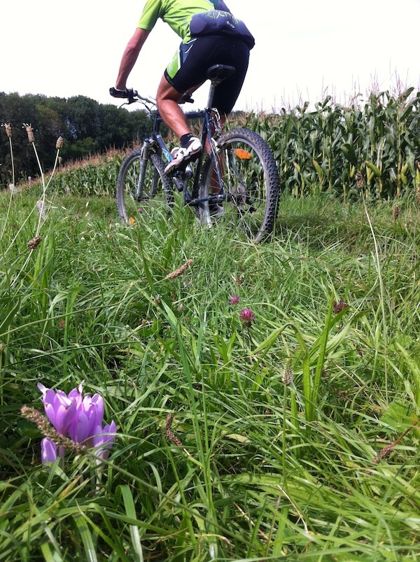 VTT mercredi 20/08 Photo_13