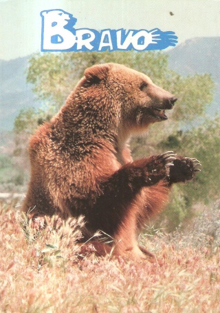 l'OURS dans les cartes postales - Page 25 001_212