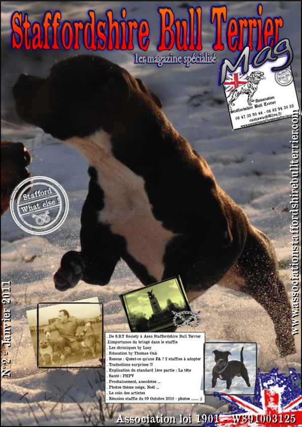 Sortie 2ème magazine spécialisé Staffordshire Bull Terrier - Janvier 2011  Couver10