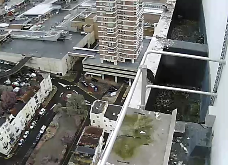 Brighton seizoen 2014 - Pagina 2 2014-046