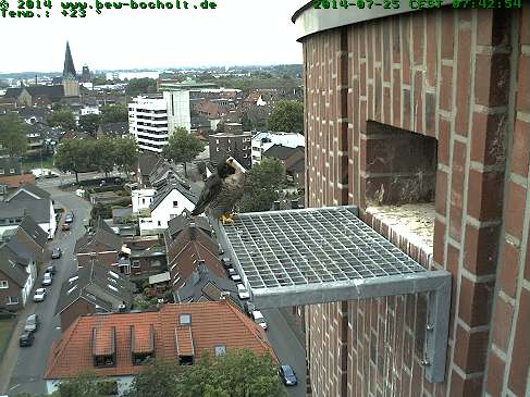 Diversen Duitsland 2014:  Oberhausen/Mülheim/Karlsruhe/Bocholt  e.a. - Pagina 10 Webcam33