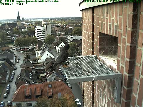 Diversen Duitsland 2014:  Oberhausen/Mülheim/Karlsruhe/Bocholt  e.a. - Pagina 11 Webcam61