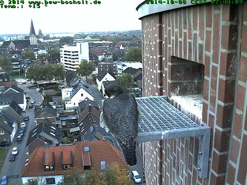 Diversen Duitsland 2014:  Oberhausen/Mülheim/Karlsruhe/Bocholt  e.a. - Pagina 11 Webcam63