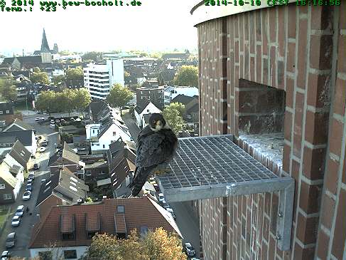Diversen Duitsland 2014:  Oberhausen/Mülheim/Karlsruhe/Bocholt  e.a. - Pagina 11 Webcam70