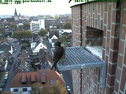 Diversen Duitsland 2014:  Oberhausen/Mülheim/Karlsruhe/Bocholt  e.a. - Pagina 12 Webcam74