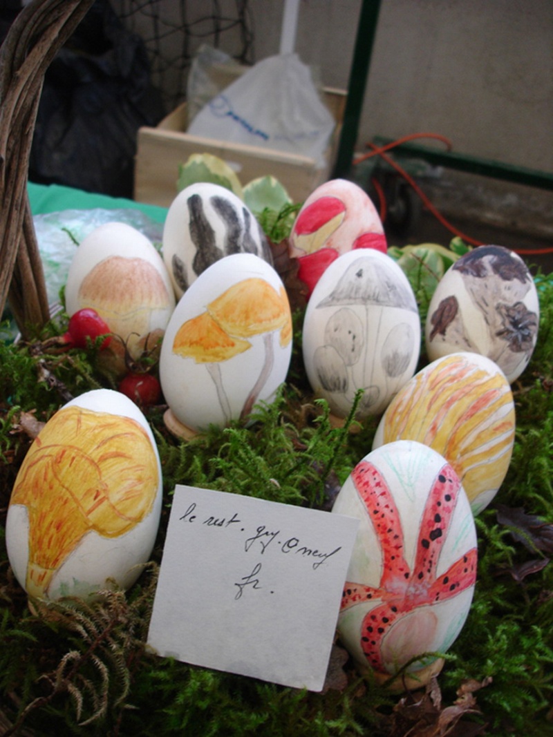 Fête de la Pomme, du Miel et des Champignons 2014 Dsc00712