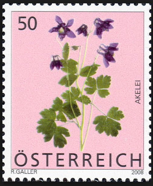 Heimische Blumen 0134