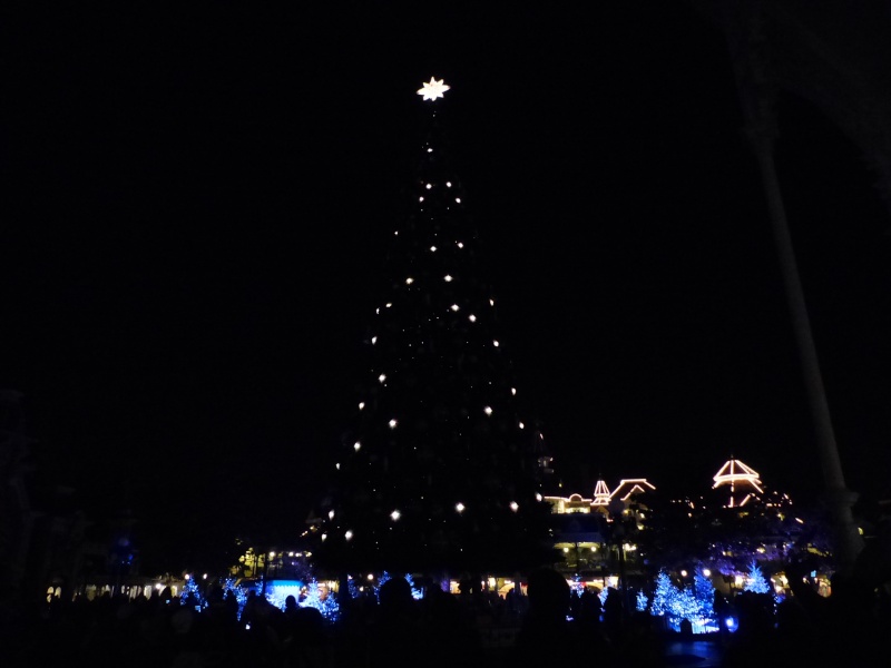 TR séjour magique & topissime à Disneyland Paris - Sequoia Lodge (GFC) - du 17/12/13 au 20/12/13 [Saison 3 Terminée - Épisode 11 – Épisode final !  posté le 25/11/2014 !] - Page 23 P1010930