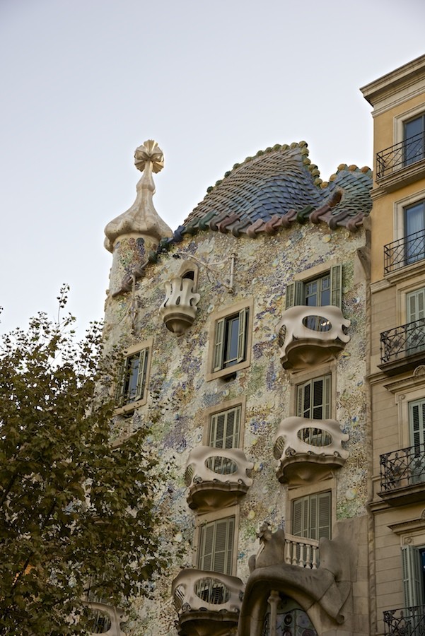 La Casa Batlló - Barcelone _dsc1110