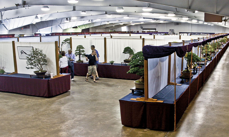 2014 41ST UPSTATE NEW YORK BONSAI EXHIBITION 110