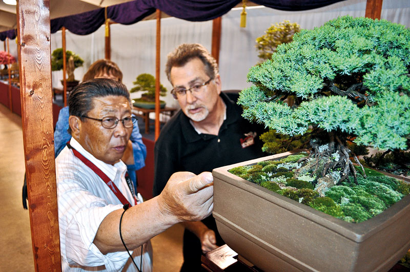 4th US NATIONAL BONSAI EXHIBITION VENDORS Judges11