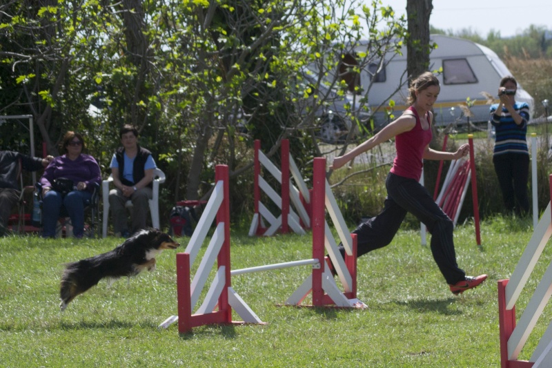 Equipe de France d'Agility 2014 Fali_e10