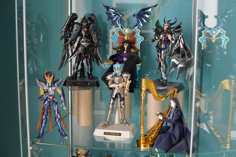 Ma collection saint seiya et autres ...  Dsc_0017