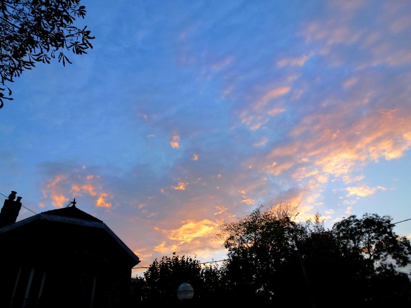 Le ciel va tomber sur notre tête ! - Page 23 P1100217