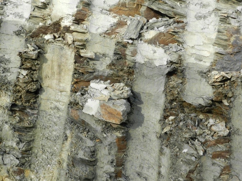 Pierres ramassées lors d'une excavation de la LGV en Mayenne Vauvar19