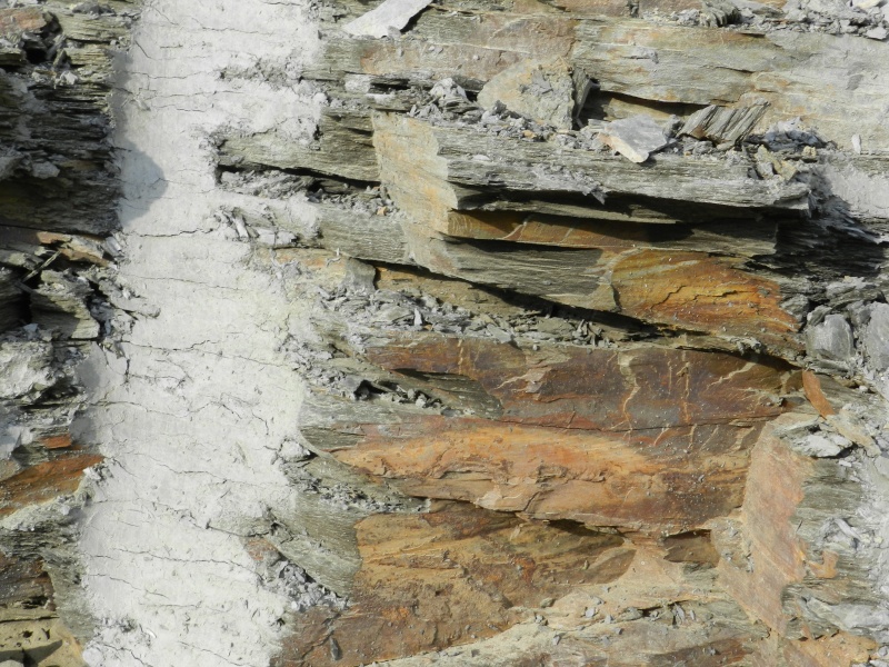 Pierres ramassées lors d'une excavation de la LGV en Mayenne Vauvar20