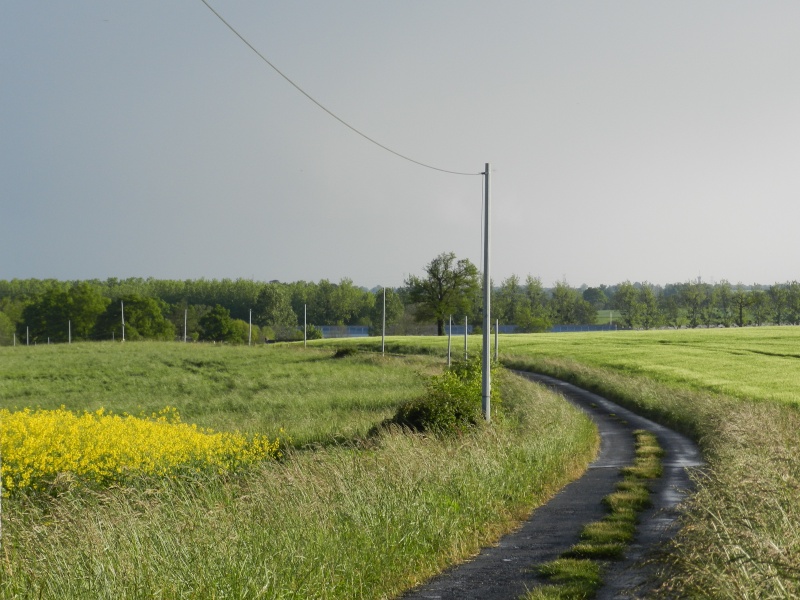 Petits viaducs de la LGV en Mayenne Vauvar26