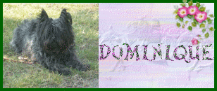 RONY - type Berger - né en 2000 - UMA (44) Domini10
