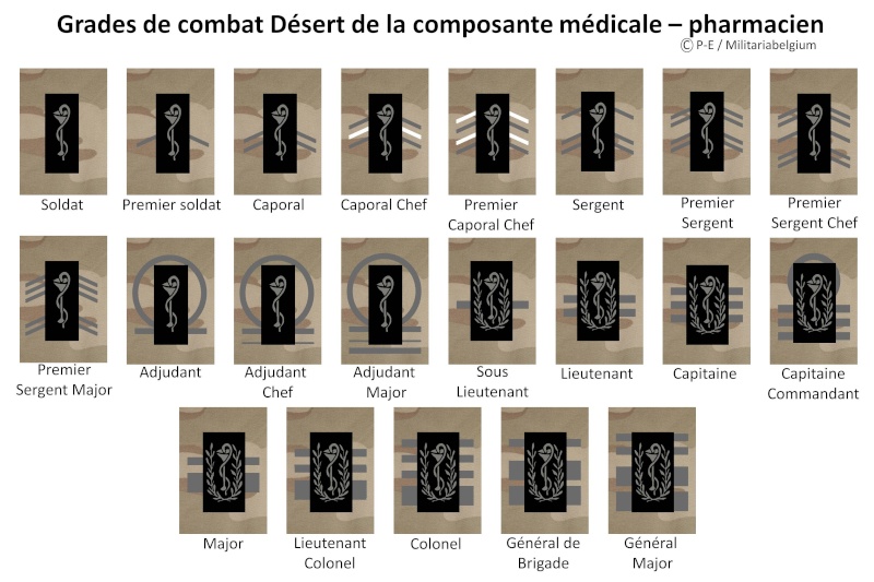 Belgium army ranks Diapos16