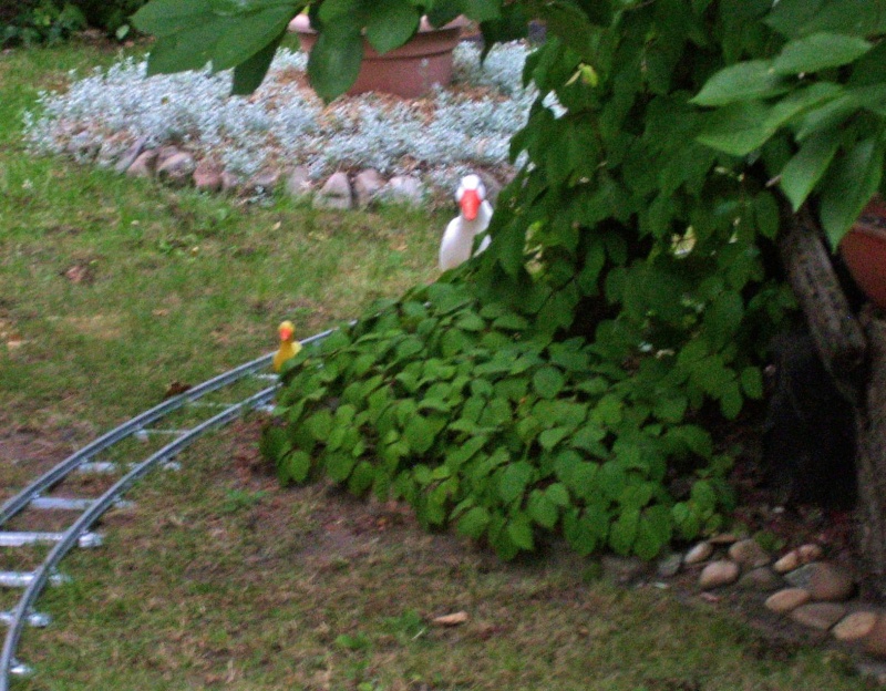 Na mal sehen, was das wird... Gartenbahn in 5 Zoll - Seite 14 100_3210