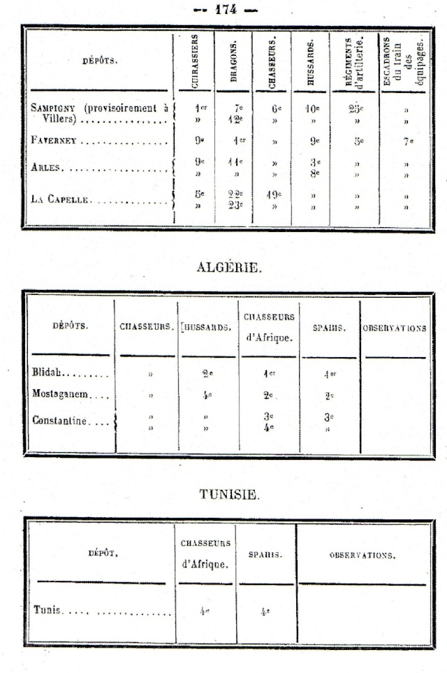 Dossier général: la cavalerie de remonte  378