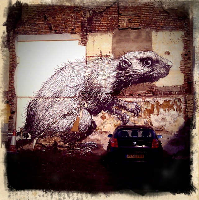 Le rat dans l'art :) 511