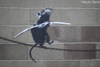 Le rat dans l'art :) Banksy13