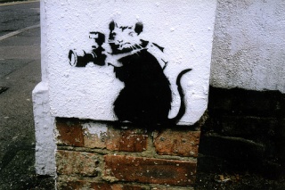 Le rat dans l'art :) Banksy15