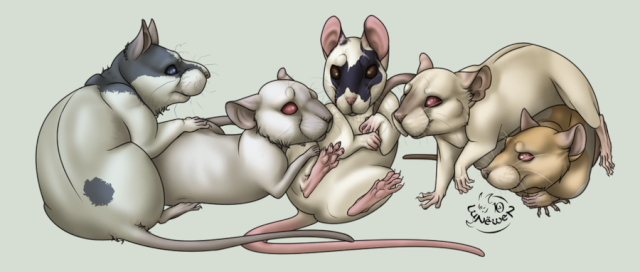 Le rat dans l'art :) - Page 2 Gone_q10