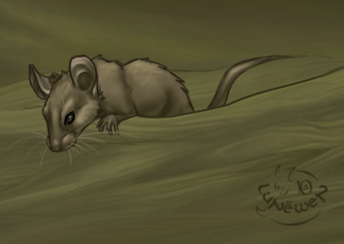 Le rat dans l'art :) - Page 2 Mayu_b10